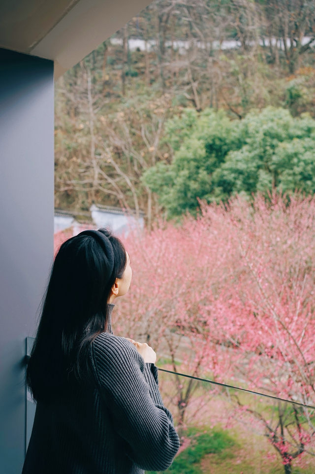 住進桃花源！臨海這家民宿美得令人窒息！