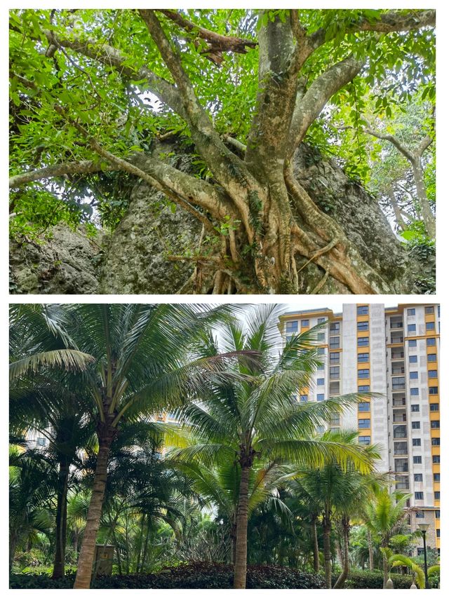 遇見浪漫我在瓊海等你