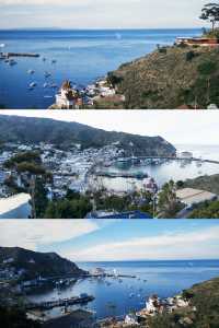 在南加州 Catalina Island 的一天
