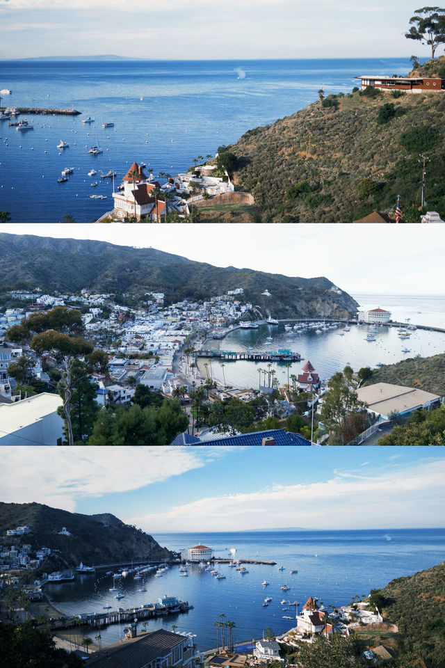 在南加州 Catalina Island 的一天