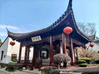 Exploring The Streets of Nanxiang Ancient Town🏮✨