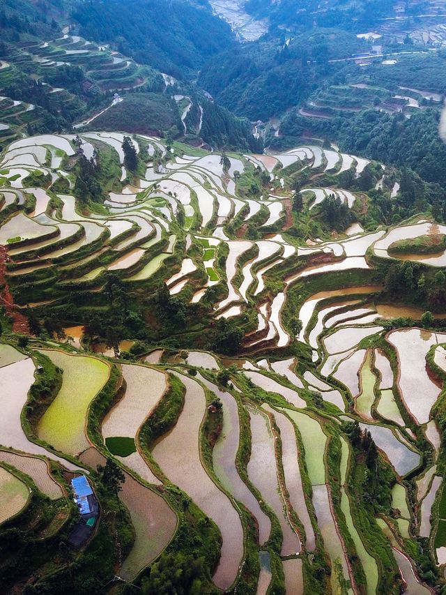入住春意盎然嘅【夏山民宿】