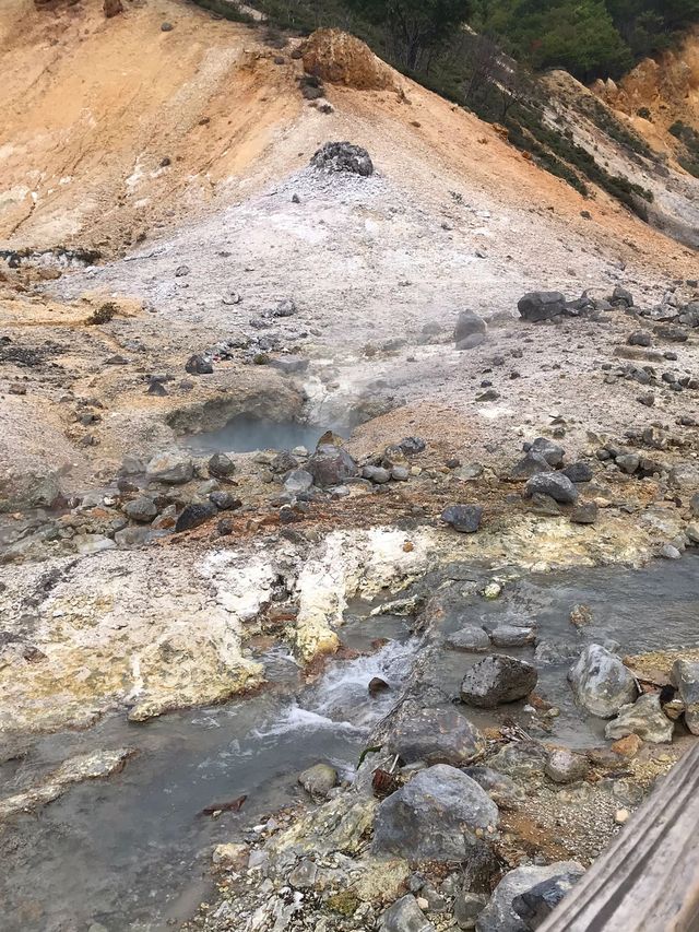 清明3日暢遊日本美麗時節