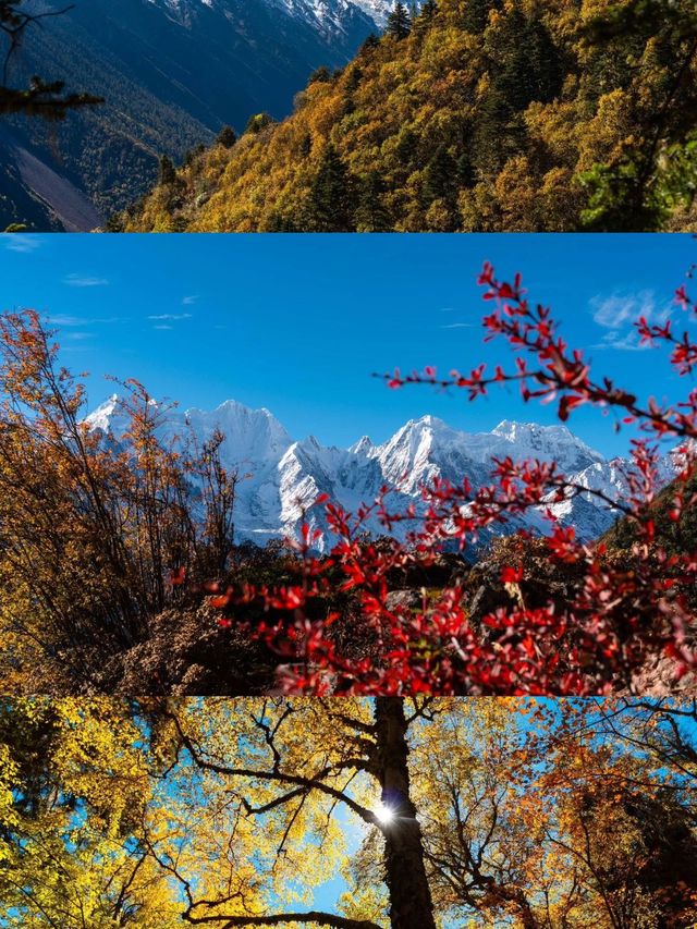 迪慶-麗江6日遊｜必打卡景點一應俱全的出遊指南