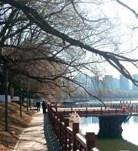 瀋水灣公園遊玩