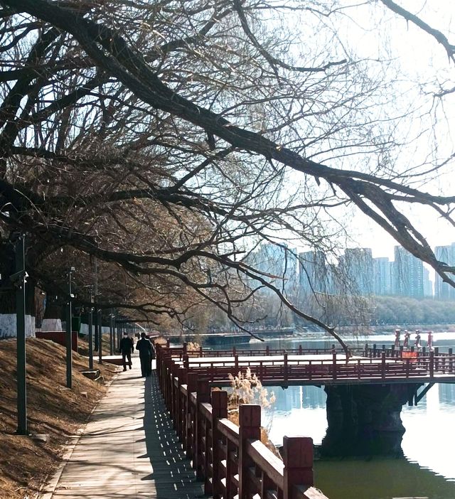 瀋水灣公園遊玩