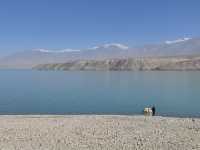 Road Trip from Kashgar to the Karakoram Highway – The Dragon Road to Pakistan! 🐉   