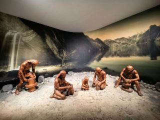 Jianghan Plain Primitive Culture Exhibition—Qujialing Culture