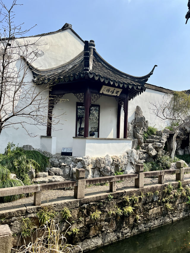 春日尋花漫步