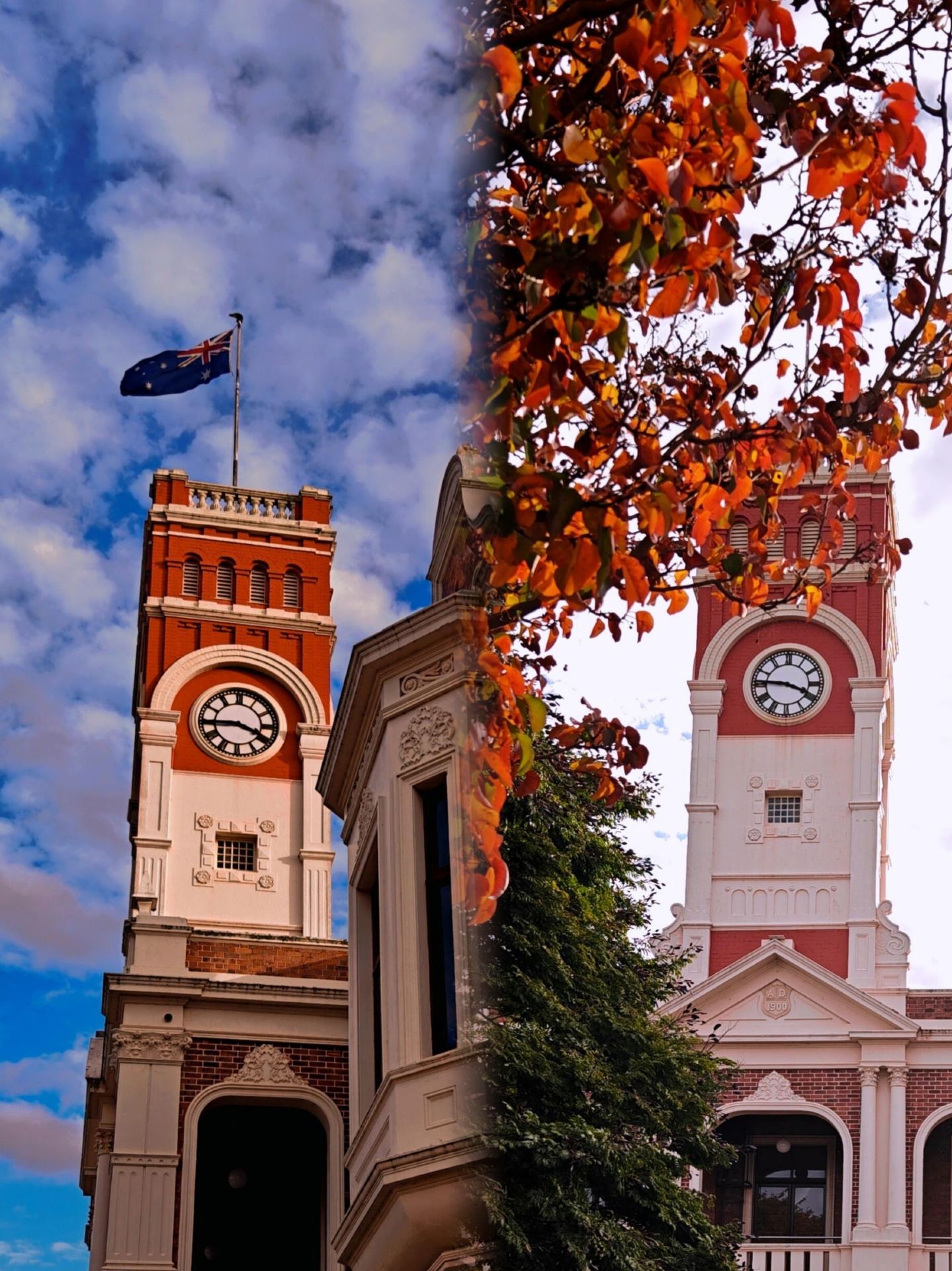 Meet the Flower City ‖ Toowoomba, Australia