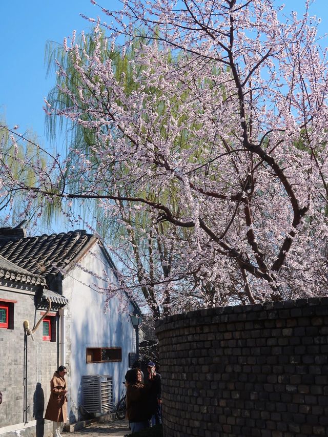 北京三里河公園