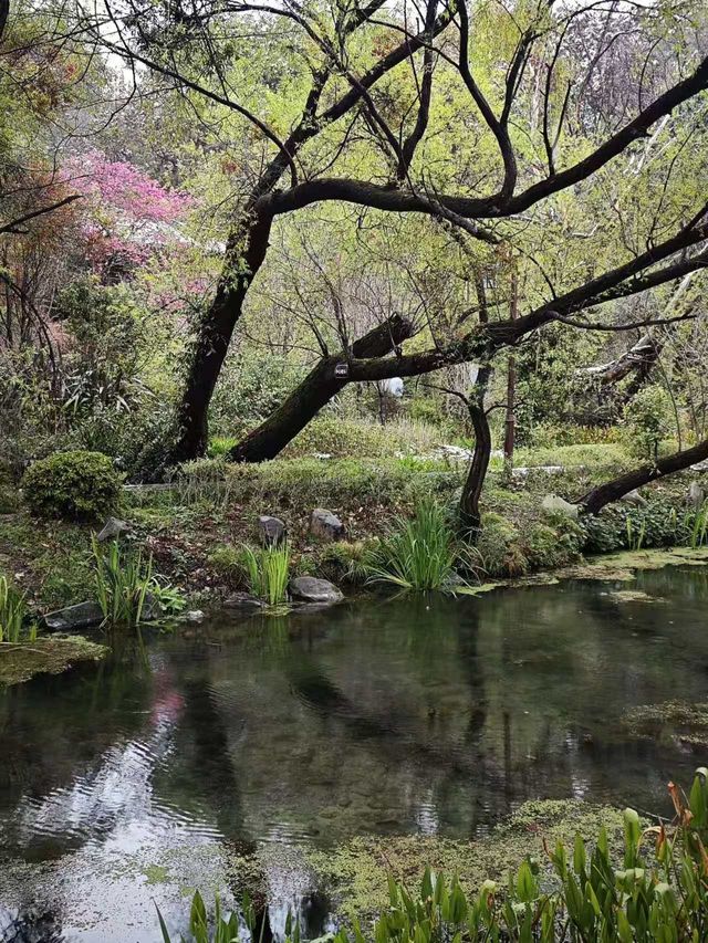 納曦雅園園林酒店｜舌尖上的旅行