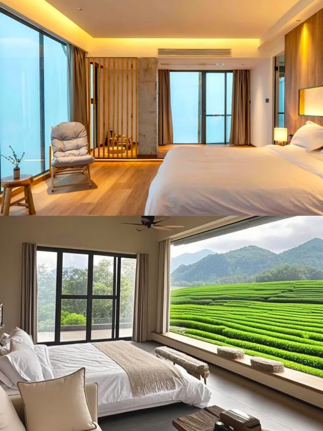 清遠!!茶園秘境民宿太適合 staycation
