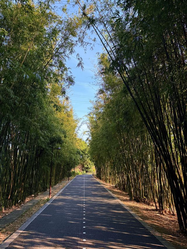 樂山3日暢遊 玩轉全景不踩坑
