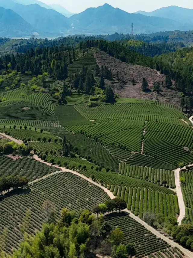 Nanping 3-Day Itinerary: The Ultimate Guide to the Hottest Spots on Social Media