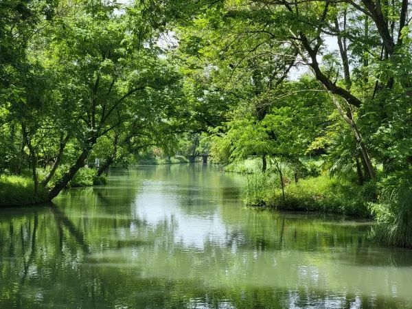 Explore the Wonders of Xixi Wetland in Hangzhou
