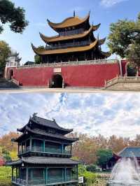岳陽已回，我的建議是…跟著風兒去旅行
