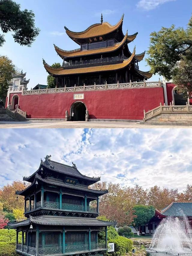 岳陽已回，我的建議是…跟著風兒去旅行