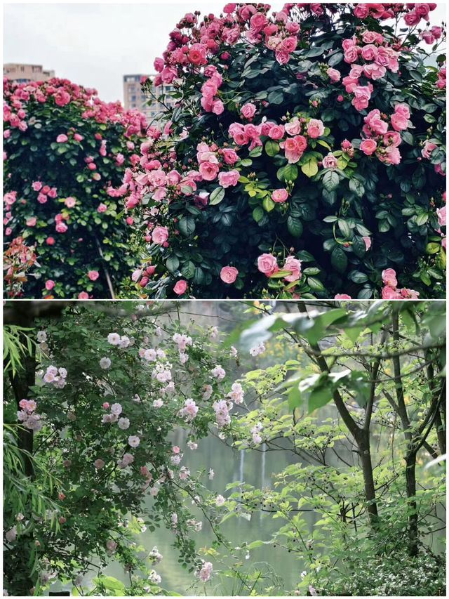 貴陽親子遊歸來，我的消費觀崩潰了