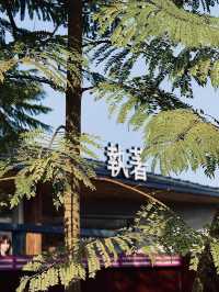 順德漁人碼頭citywalk廣佛周邊一日遊攻略