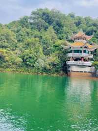 鼎湖山寶鼎園，有「球」必應。