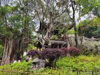 福州之行 - city walk (煙台山公園/ 閩江之心/ 解放大橋/ 茉莉大街)