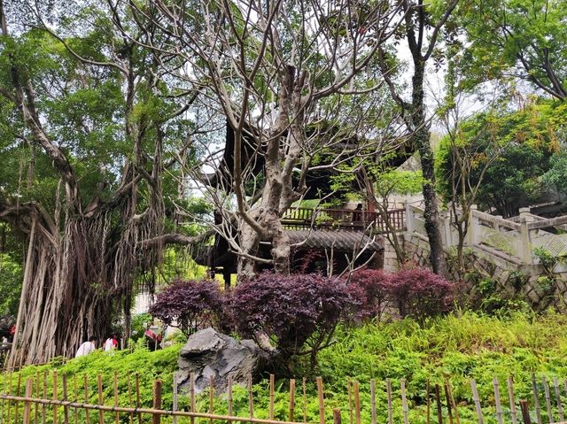 福州之行 - city walk (煙台山公園/ 閩江之心/ 解放大橋/ 茉莉大街)