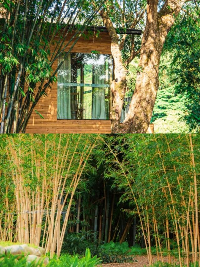 在羅浮山腳下過幾天隱世生活！