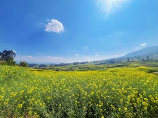 Yunnan Red Wine Tour---Fengqing