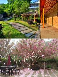 隱花塢·莫干山｜在竹林深處，找回"人"的溫度
