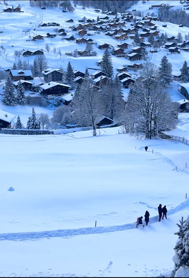 雪色格林德瓦：阿爾卑斯山下的夢幻冬韻