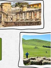 羚羊部落攜手塔洲旅遊局推出全新旅遊線路