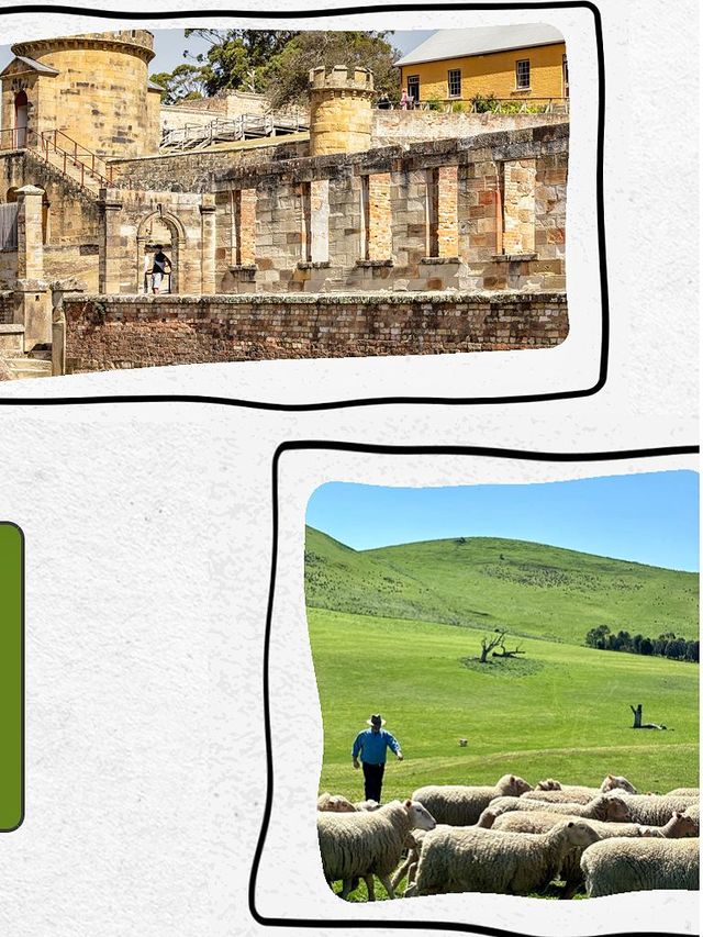 羚羊部落攜手塔洲旅遊局推出全新旅遊線路