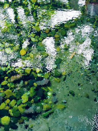 Xieshan National Forest Park: Encounter a Summer Paradise