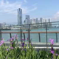🌊深圳太子灣海岸線公園｜K11海邊棧道的愜意時光🏖️