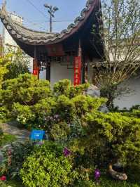 🌸 維多利亞公園花卉展：自然的色彩盛宴