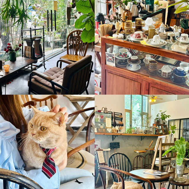 珠海🫧🍃鬆弛感拉滿～假日要去的3個寶藏地☕