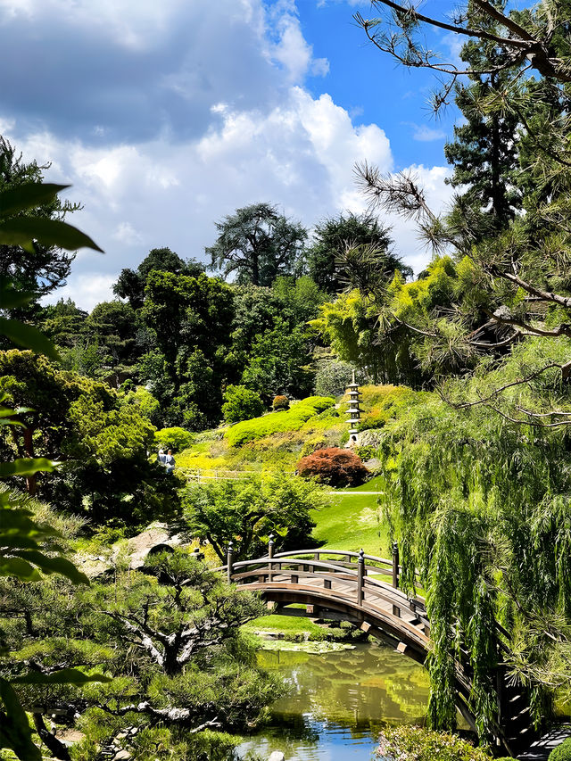 亨廷頓圖書館植物園，洛杉磯靜謐秘境