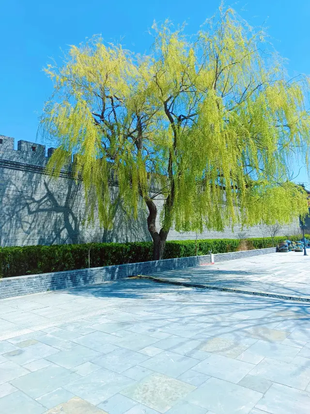 Yangjiabu: The Sparkling Pearl of Traditional Art