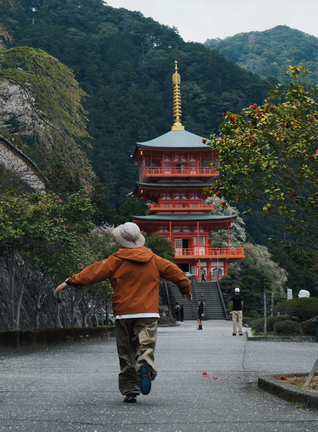 和歌山旅行 保姆級攻略嚟啦！
