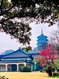 《浙江西子賓館：住進百年名莊的極致浪漫》