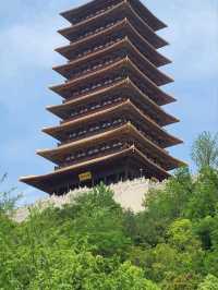 牛手山 - Nanjing - Stroll throught nature