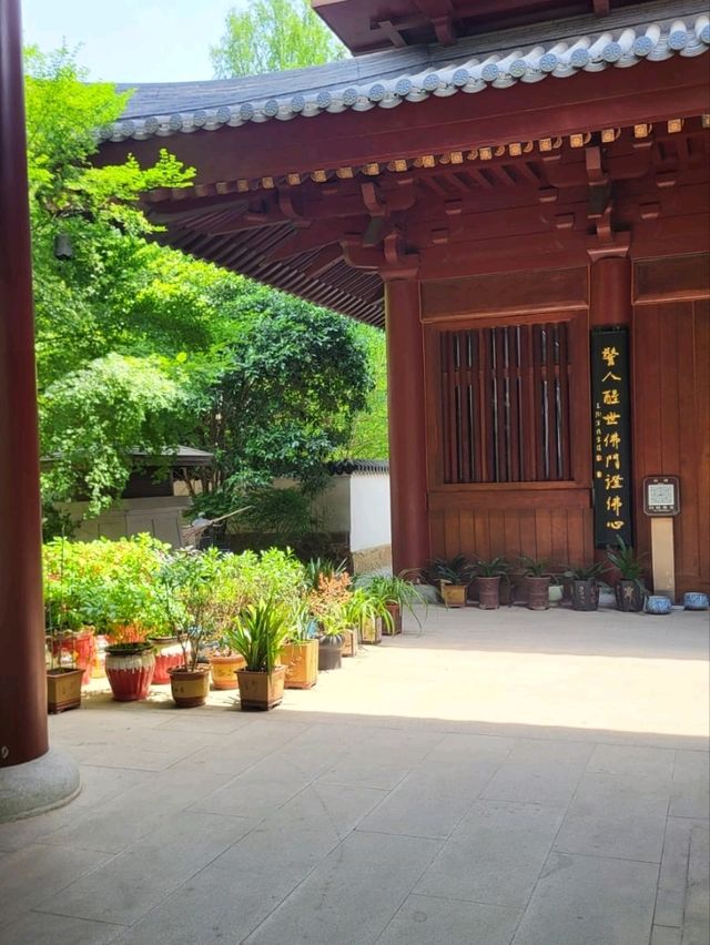 牛手山 - Nanjing - Stroll throught nature