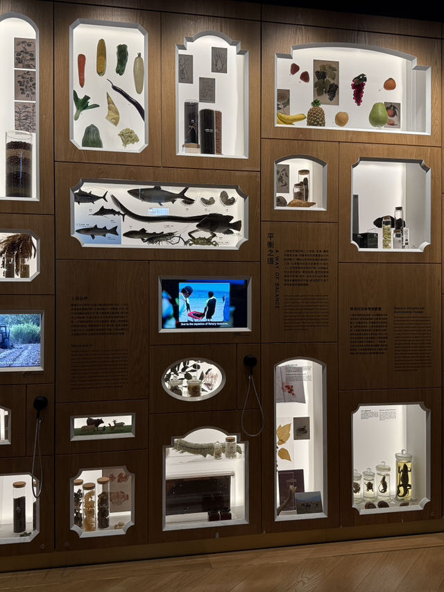 Taiwan Museum Taipei, A Cheap Yet Fascinating Place For The Whole Family 