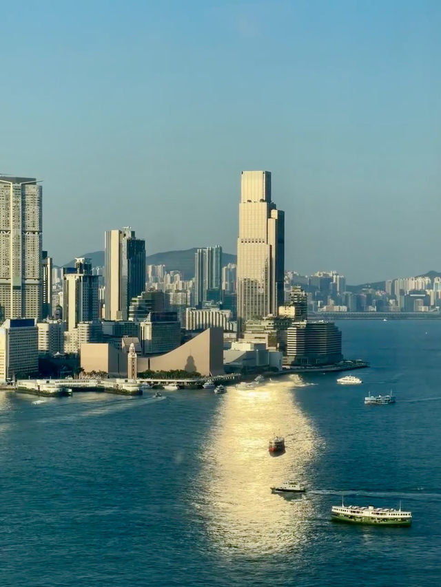 維港星光下的四季時光