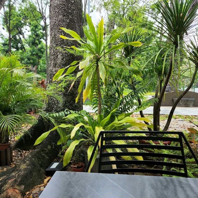 our regular spot