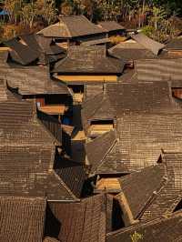 普洱帶娃修仙失敗！呢3個坑令我諗住承包咖啡園