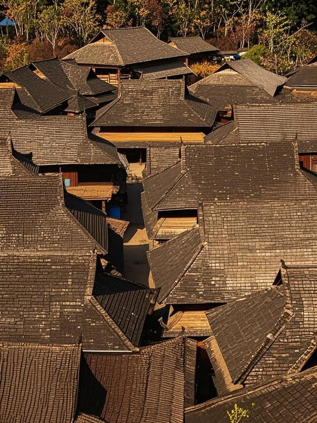 普洱帶娃修仙失敗！呢3個坑令我諗住承包咖啡園