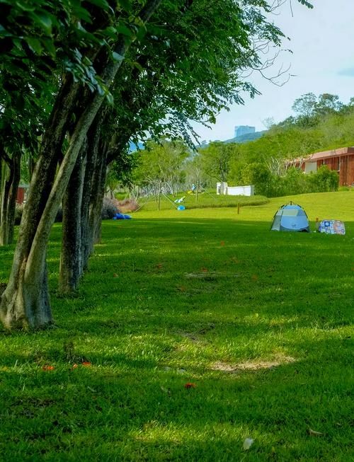 深圳大沙河公園漫遊指南｜都市綠肺裡的全齡段治癒之旅