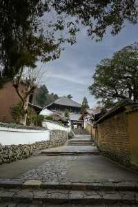 奈良東大寺——穿越千年 探尋建築奇蹟